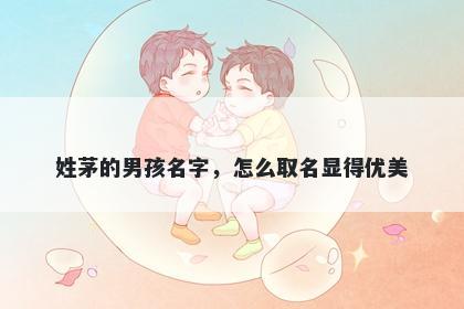 姓茅的男孩名字，怎么取名显得优美