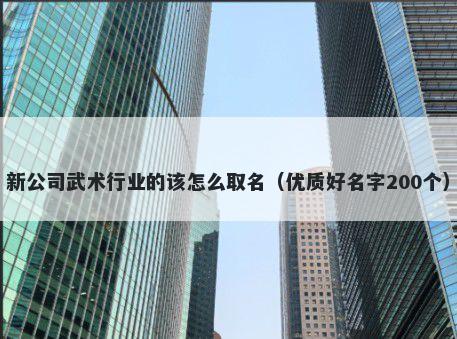 新公司武术行业的该怎么取名（优质好名字200个）