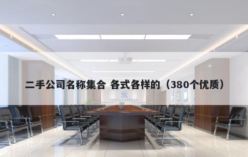 二手公司名称集合 各式各样的（380个优质）