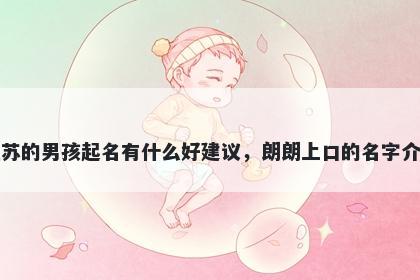 姓苏的男孩起名有什么好建议，朗朗上口的名字介绍