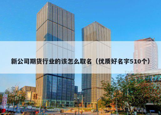 新公司期货行业的该怎么取名（优质好名字510个）