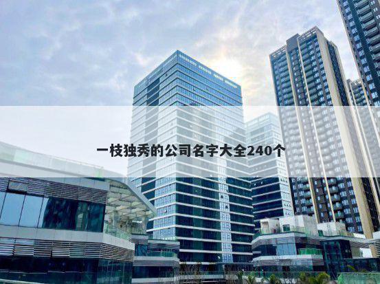 一枝独秀的公司名字大全240个