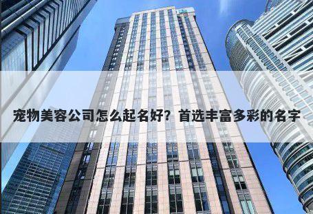 宠物美容公司怎么起名好？首选丰富多彩的名字