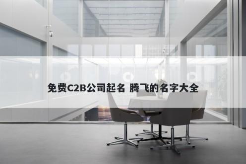 免费C2B公司起名 腾飞的名字大全