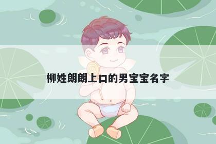 柳姓朗朗上口的男宝宝名字