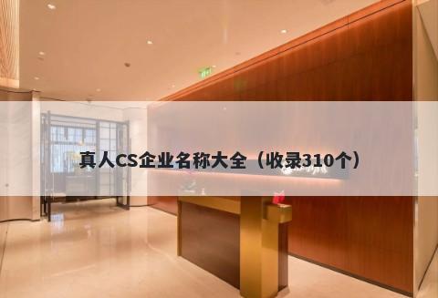 真人CS企业名称大全（收录310个）