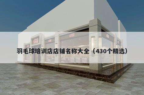 羽毛球培训店店铺名称大全（430个精选）