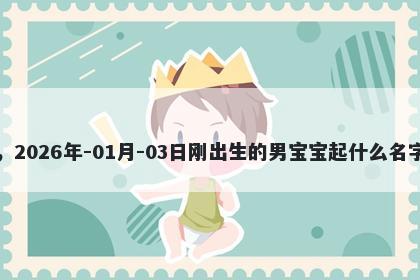 我姓危，2026年-01月-03日刚出生的男宝宝起什么名字比较好