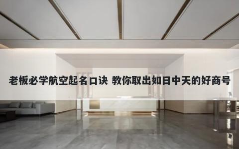 老板必学航空起名口诀 教你取出如日中天的好商号