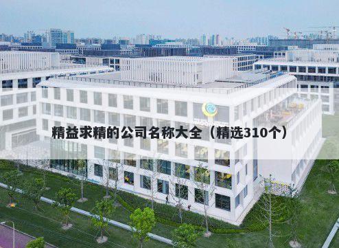 精益求精的公司名称大全（精选310个）