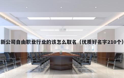 新公司自由职业行业的该怎么取名（优质好名字210个）