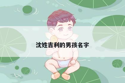 沈姓吉利的男孩名字