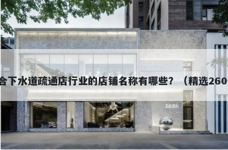 适合下水道疏通店行业的店铺名称有哪些？（精选260个）