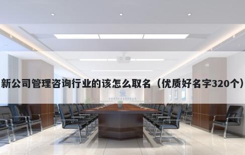 新公司管理咨询行业的该怎么取名（优质好名字320个）