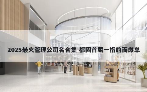 2025最火管理公司名合集 都因首屈一指的而爆单