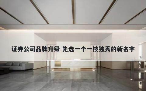 证券公司品牌升级 先选一个一枝独秀的新名字