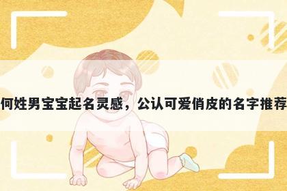 何姓男宝宝起名灵感，公认可爱俏皮的名字推荐