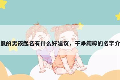 姓熊的男孩起名有什么好建议，干净纯粹的名字介绍