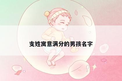 支姓寓意满分的男孩名字
