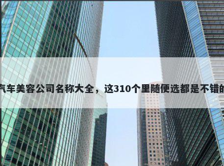 汽车美容公司名称大全，这310个里随便选都是不错的