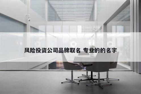 风险投资公司品牌取名 专业的的名字