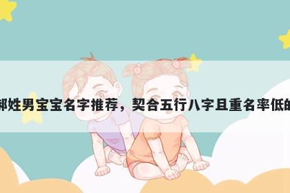 郝姓男宝宝名字推荐，契合五行八字且重名率低的