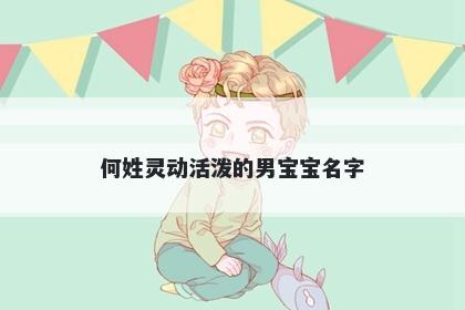 何姓灵动活泼的男宝宝名字
