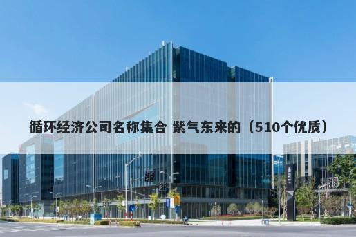 循环经济公司名称集合 紫气东来的（510个优质）