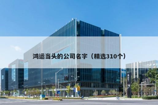 鸿运当头的公司名字（精选310个）
