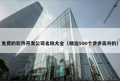 免费的软件开发公司名称大全（精选500个步步高升的）