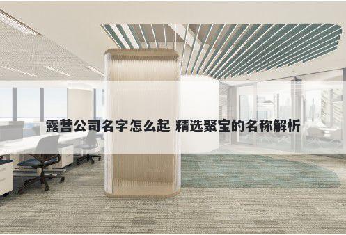 露营公司名字怎么起 精选聚宝的名称解析