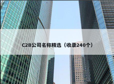 C2B公司名称精选（收录240个）