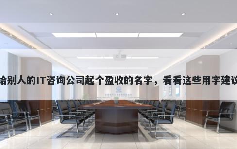 给别人的IT咨询公司起个盈收的名字，看看这些用字建议