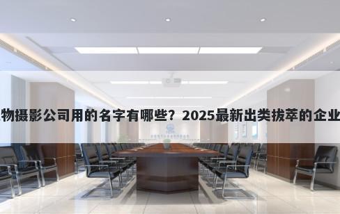 适合宠物摄影公司用的名字有哪些？2025最新出类拔萃的企业名解析