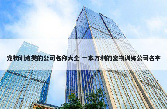 宠物训练类的公司名称大全 一本万利的宠物训练公司名字