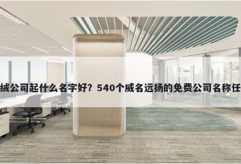 羽绒公司起什么名字好？540个威名远扬的免费公司名称任选