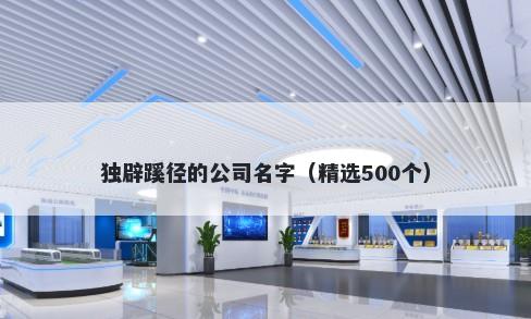 独辟蹊径的公司名字（精选500个）