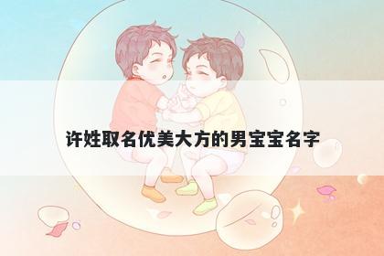 许姓取名优美大方的男宝宝名字