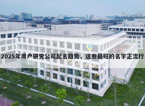 2025年用户研究公司起名趋势，这些最旺的名字正流行