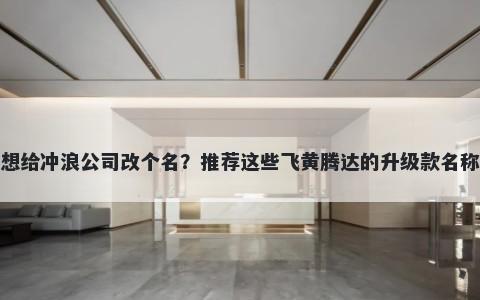 想给冲浪公司改个名？推荐这些飞黄腾达的升级款名称