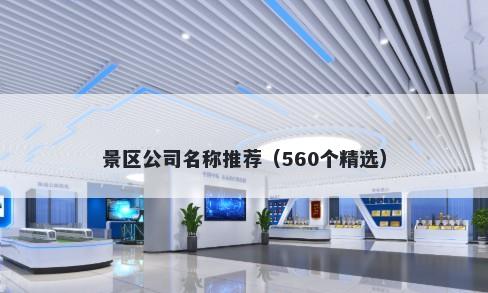 景区公司名称推荐（560个精选）