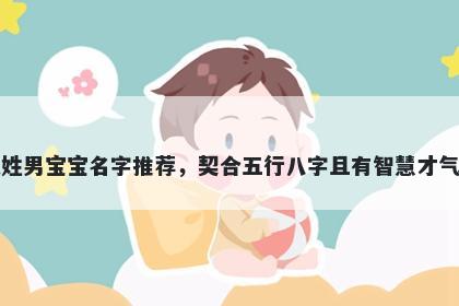 范姓男宝宝名字推荐，契合五行八字且有智慧才气的