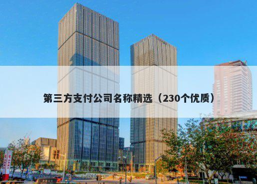 第三方支付公司名称精选（230个优质）