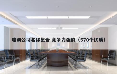 培训公司名称集合 竞争力强的（570个优质）