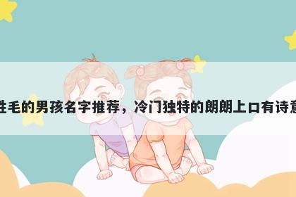 姓毛的男孩名字推荐，冷门独特的朗朗上口有诗意