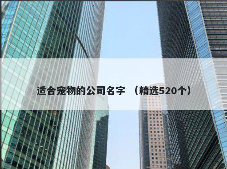 适合宠物的公司名字 （精选520个）