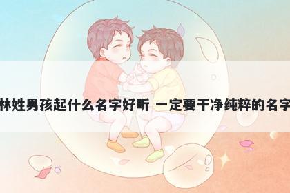 林姓男孩起什么名字好听 一定要干净纯粹的名字