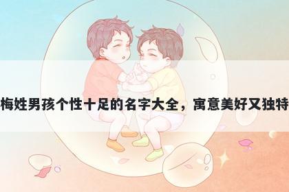 梅姓男孩个性十足的名字大全，寓意美好又独特