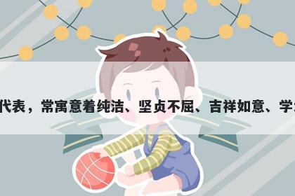 菊字女孩名字推荐，寓意菊花作为高雅花卉的代表，常寓意着纯洁、坚贞不屈、吉祥如意、学术成就等美好的寓意，是一个优秀的起名选择。