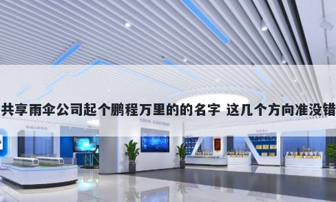 共享雨伞公司起个鹏程万里的的名字 这几个方向准没错